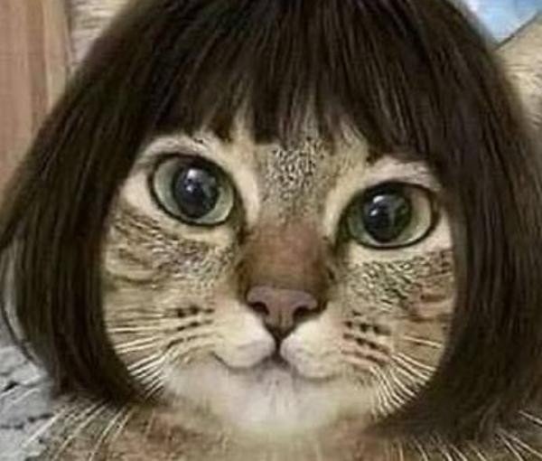 f:id:however-down:20240207205454j:image f:id:however-down:20240207205454j:image