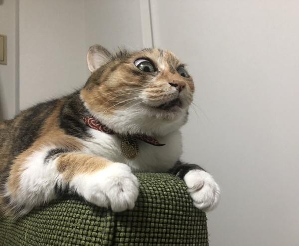 f:id:however-down:20240207223204j:image f:id:however-down:20240207223204j:image