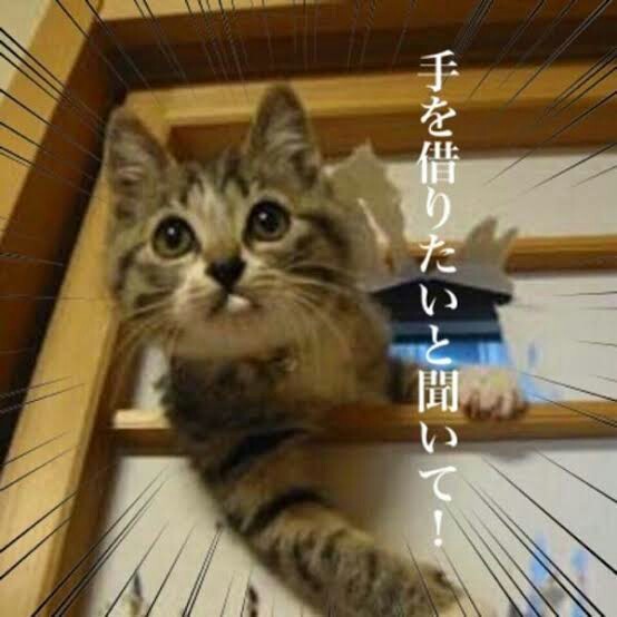 f:id:however-down:20240207230023j:image f:id:however-down:20240207230023j:image