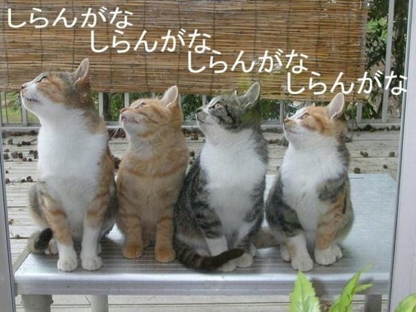 f:id:however-down:20240215223239j:image