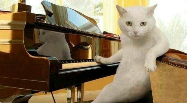 f:id:however-down:20240217103421j:image f:id:however-down:20240217103421j:image