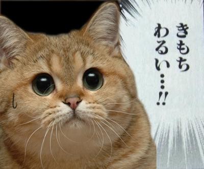 f:id:however-down:20240220221122j:image f:id:however-down:20240220221122j:image