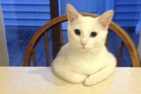 f:id:however-down:20240331094620j:image