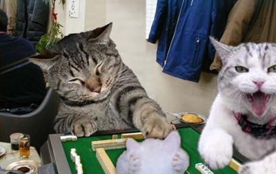 f:id:however-down:20240408225649j:image