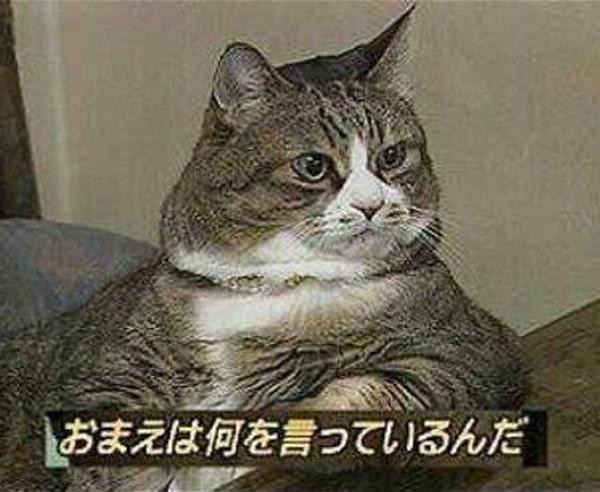 f:id:however-down:20240428083038j:image f:id:however-down:20240428083038j:image