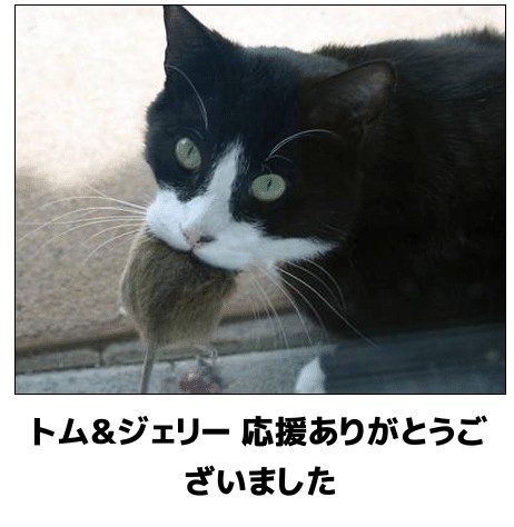 f:id:however-down:20240609004433j:image