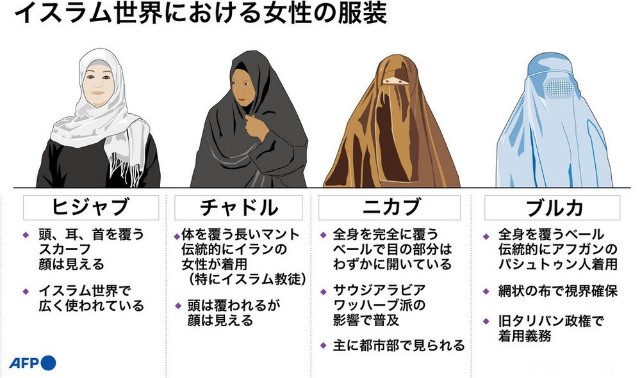 f:id:however-down:20240611235148j:image