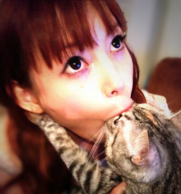 f:id:however-down:20240705004056j:image