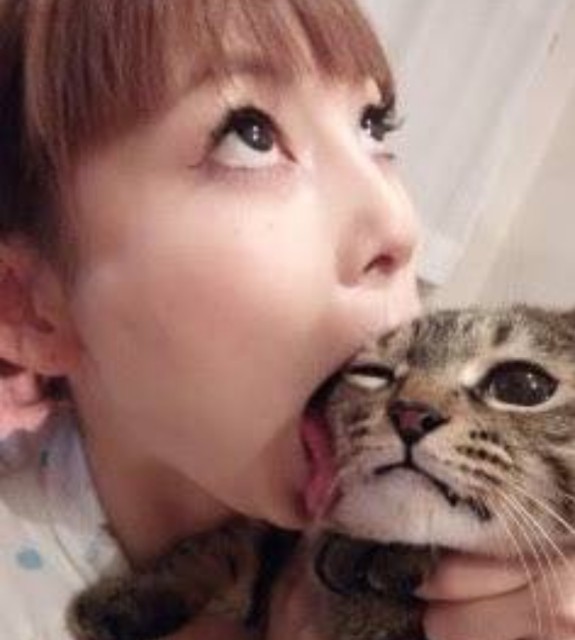 f:id:however-down:20240705010228j:image