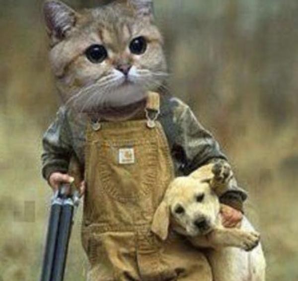 f:id:however-down:20240709002933j:image f:id:however-down:20240709002933j:image