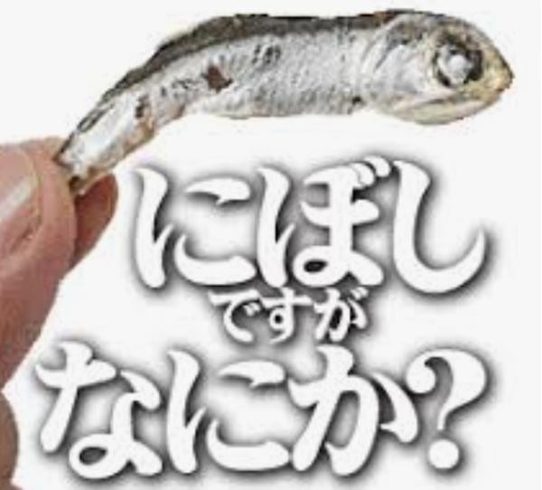 f:id:however-down:20240805004705j:image