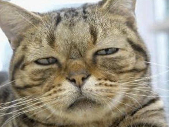 f:id:however-down:20240821231226j:image