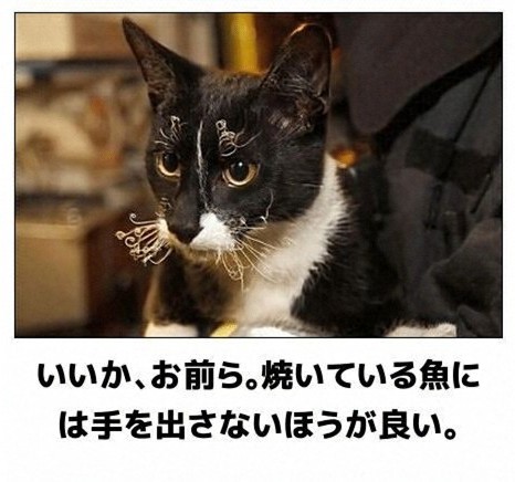 f:id:however-down:20240901112000j:image