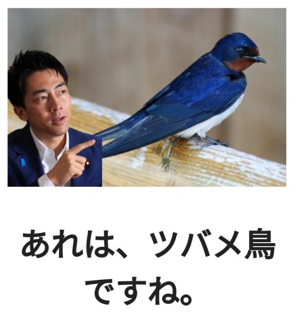 f:id:however-down:20241021001900j:image