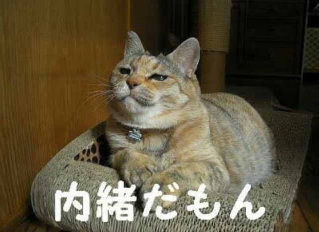 f:id:however-down:20241208195132j:image f:id:however-down:20241208195132j:image