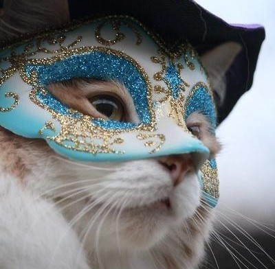 f:id:however-down:20250203213929j:image