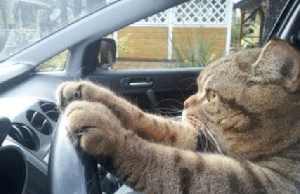 f:id:however-down:20250222091214j:image f:id:however-down:20250222091214j:image