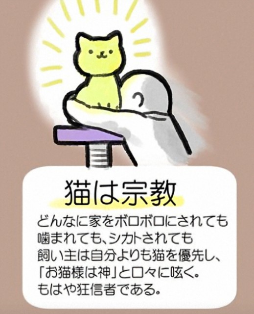 f:id:however-down:20250226234345j:image