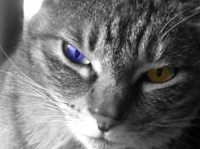 f:id:however-down:20250503095213j:image