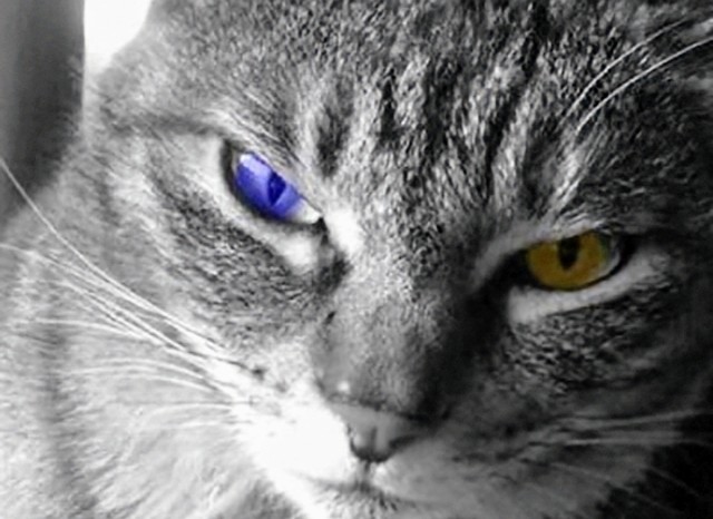 f:id:however-down:20250521125334j:image