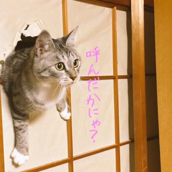 f:id:however-down:20250623084643j:image