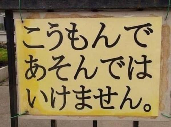 f:id:however-down:20250823170205j:image