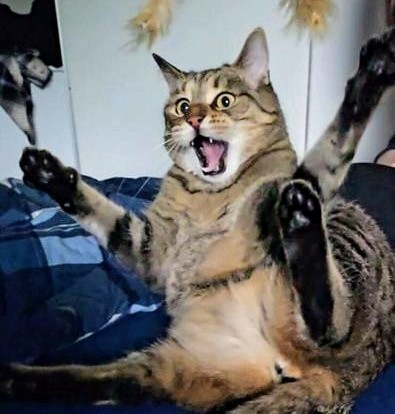 f:id:however-down:20250828224405j:image f:id:however-down:20250828224405j:image