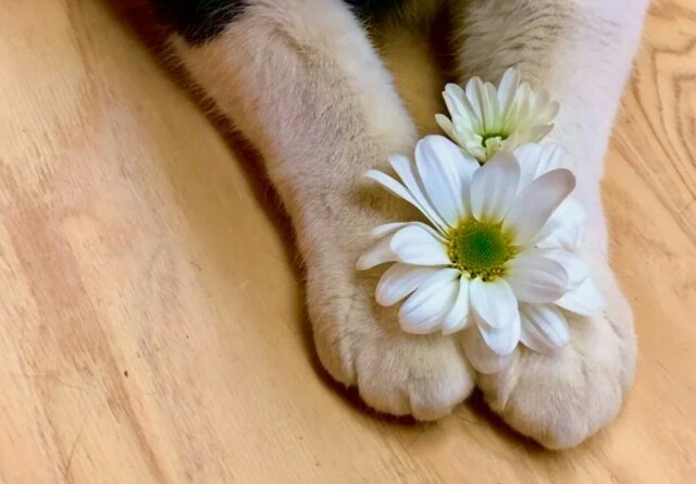 f:id:however-down:20250830023323j:image