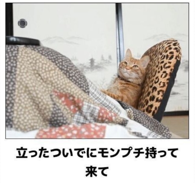 f:id:however-down:20251019213926j:image