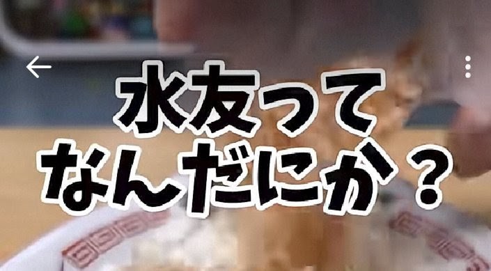 f:id:however-down:20251118162927j:image