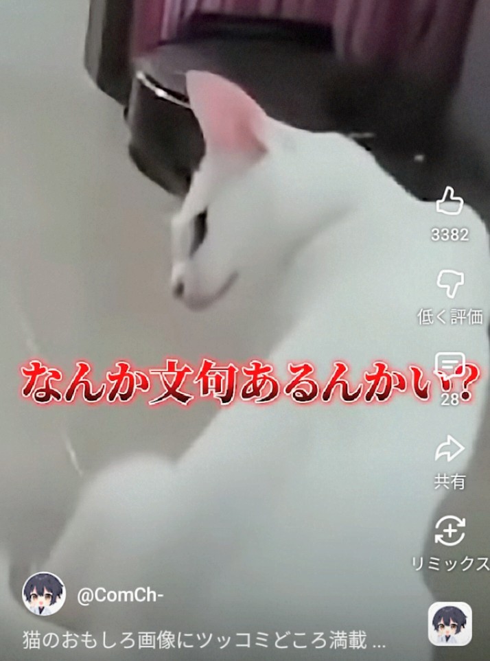 f:id:however-down:20260118201228j:image f:id:however-down:20260118201228j:image