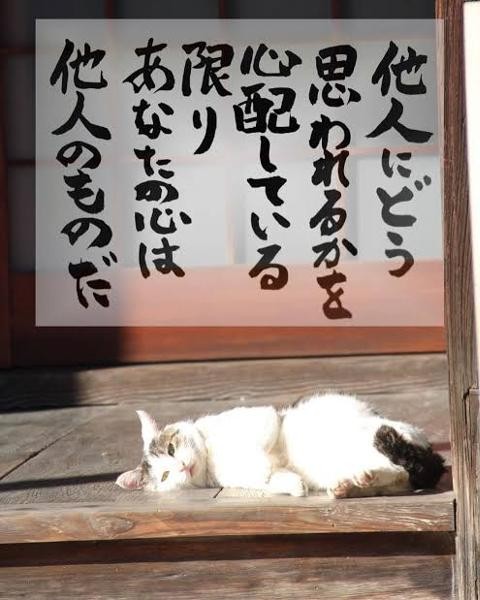 f:id:however-down:20260125102805j:image f:id:however-down:20260125102805j:image