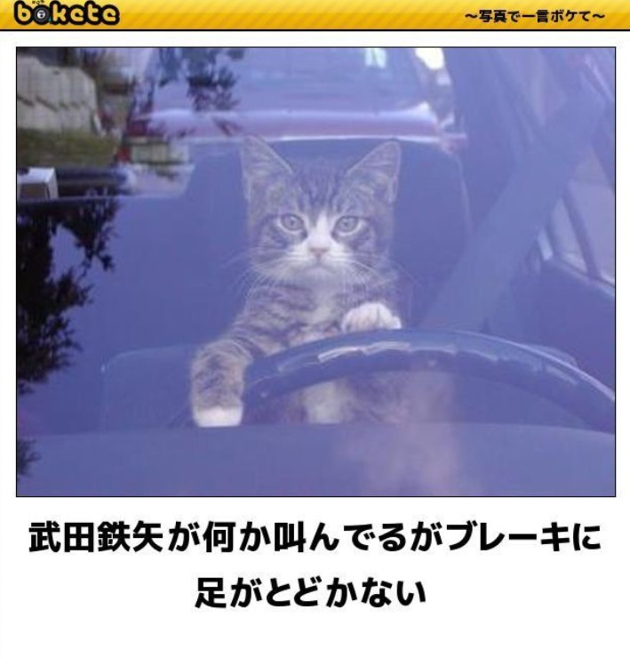 f:id:however-down:20260318204841j:image