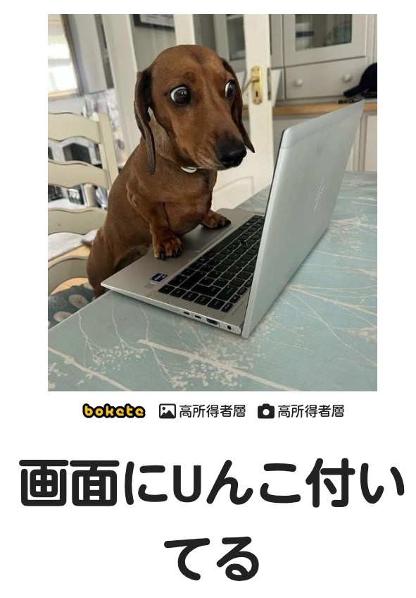 f:id:however-down:20260322223115j:image