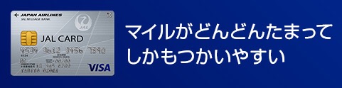 f:id:howisitgoing44:20170101144523j:plain