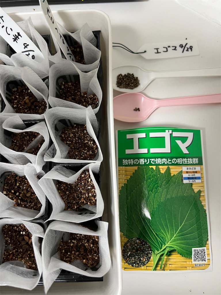 f:id:howtogoaroundjapan:20260430100244j:image