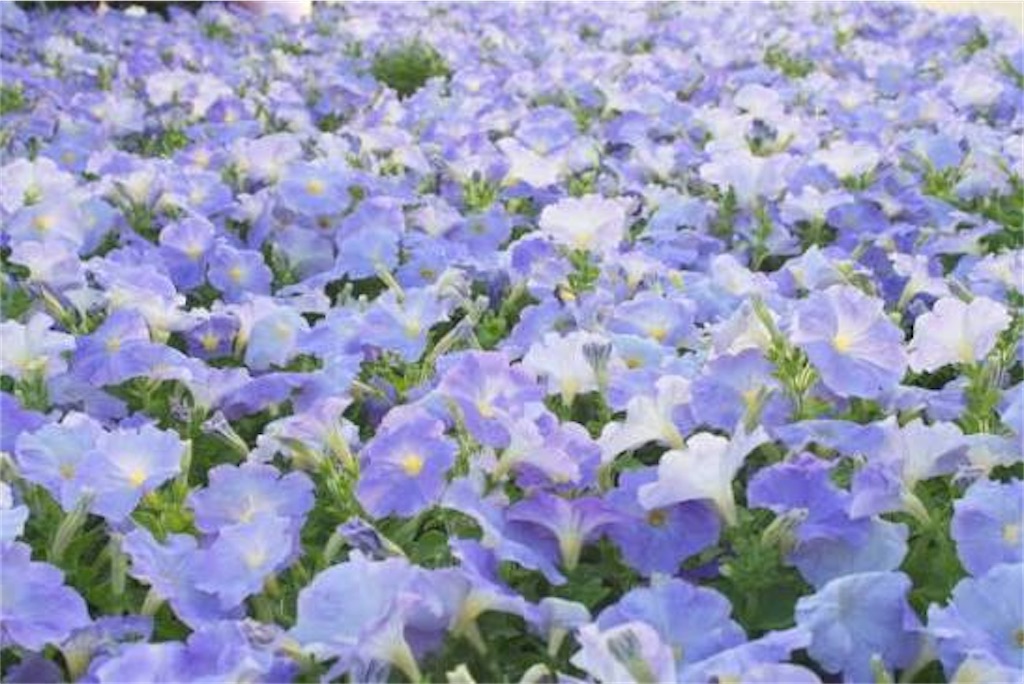 f:id:howtogoaroundjapan:20260603110310j:image f:id:howtogoaroundjapan:20260603110310j:image