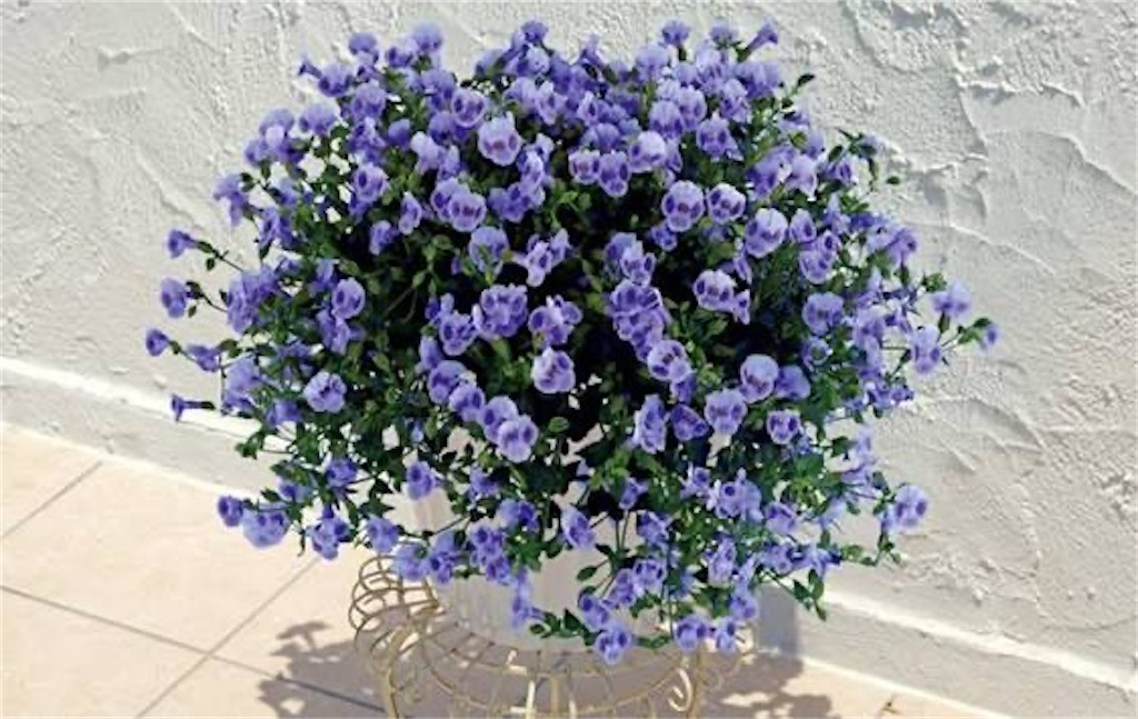 f:id:howtogoaroundjapan:20260603111124j:image f:id:howtogoaroundjapan:20260603111124j:image