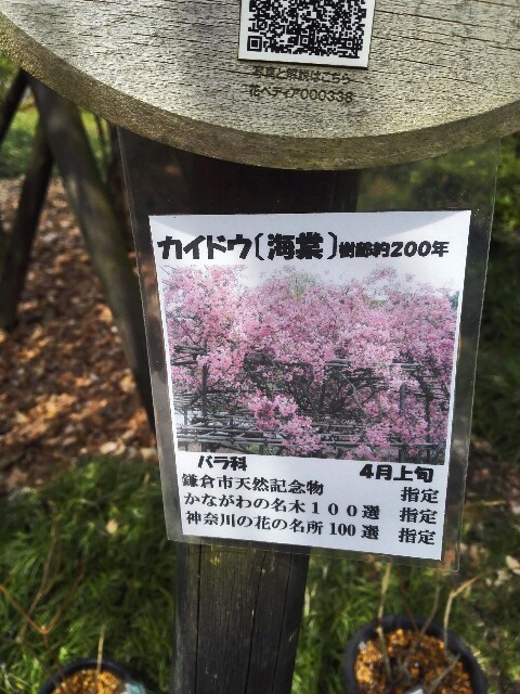 f:id:hoymin:20170415092022j:image f:id:hoymin:20170415092022j:image