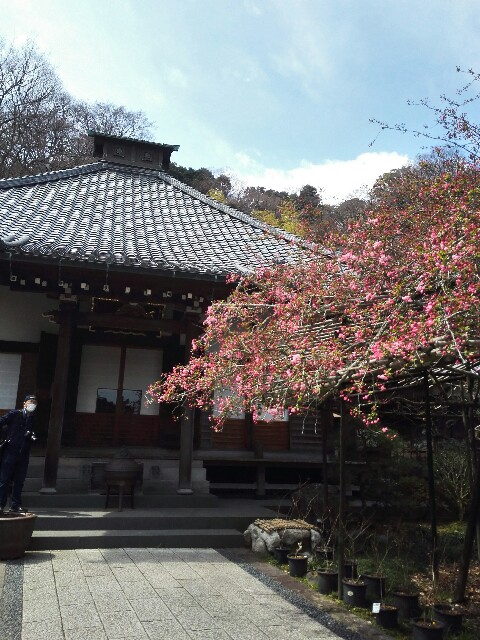f:id:hoymin:20170415092135j:image f:id:hoymin:20170415092135j:image