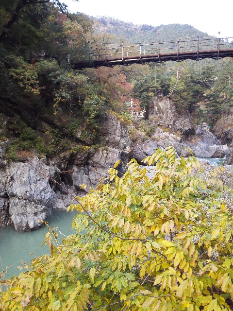 f:id:hoymin:20171112201830j:image f:id:hoymin:20171112201830j:image