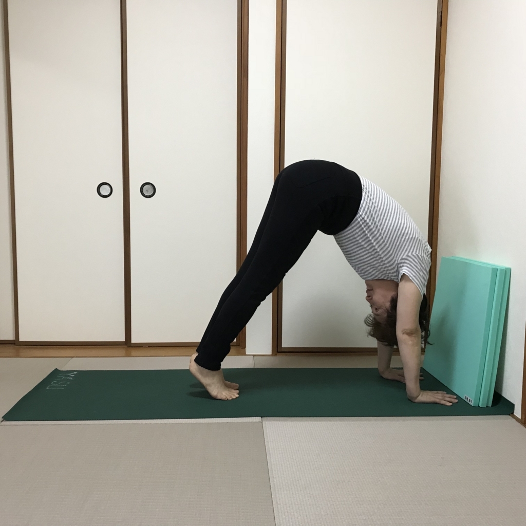体が重くて上がりません 逆立ち練習 ６０歳過ぎても進化中 ほいみんの日記