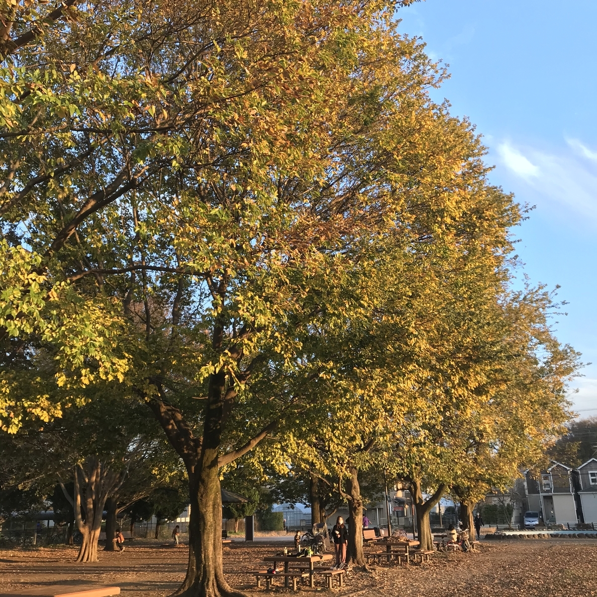 f:id:hoymin:20201130193922j:plain