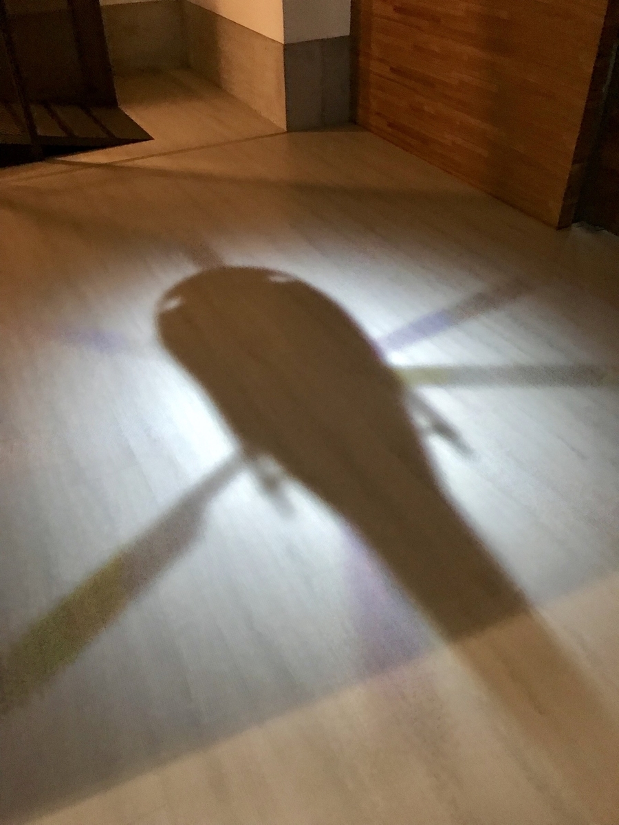 f:id:hoyoyontaiwan:20190529135115j:plain f:id:hoyoyontaiwan:20190529135115j:plain