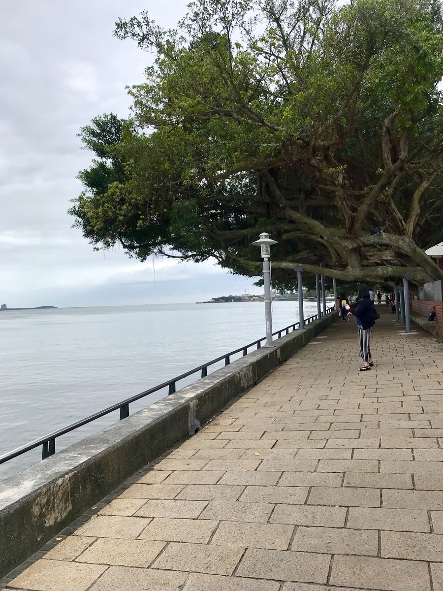 f:id:hoyoyontaiwan:20190529151216j:plain f:id:hoyoyontaiwan:20190529151216j:plain