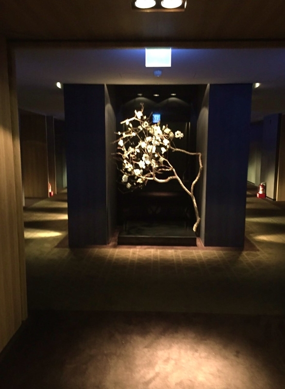 イメージ 6
