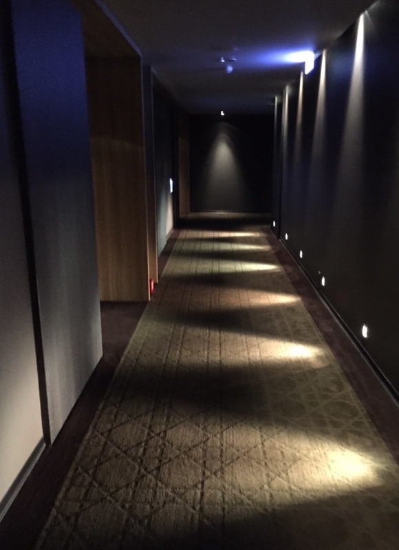 イメージ 7