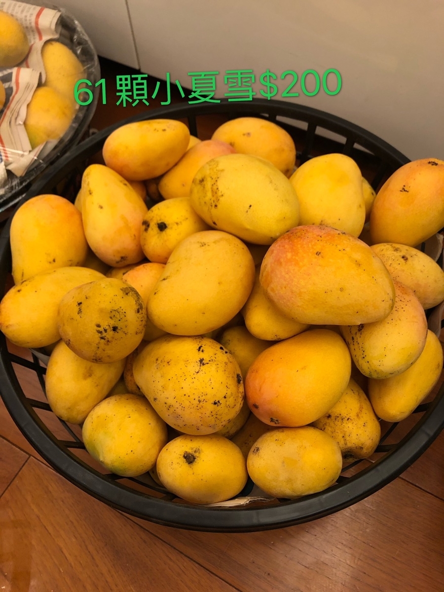 f:id:hoyoyontaiwan:20200618220727j:plain f:id:hoyoyontaiwan:20200618220727j:plain