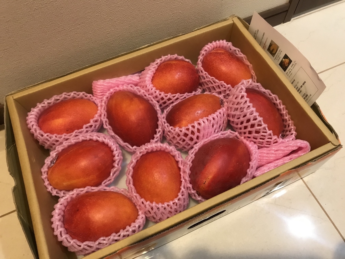 f:id:hoyoyontaiwan:20200625193151j:plain f:id:hoyoyontaiwan:20200625193151j:plain