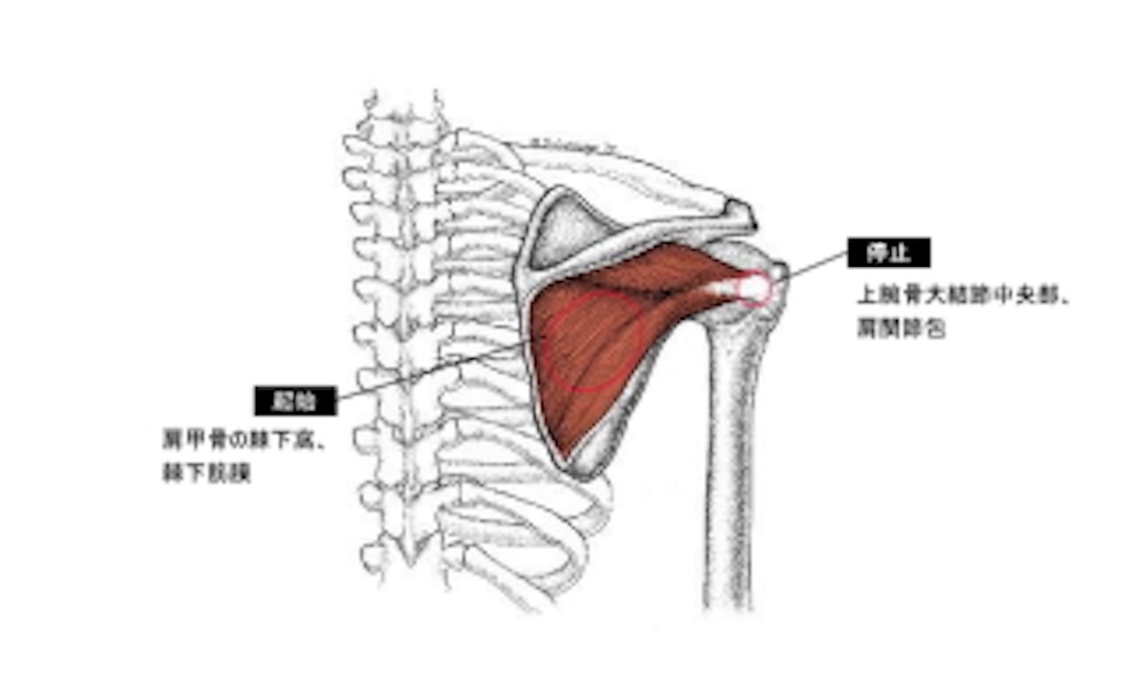 f:id:hoyuforyou:20181012230404j:image f:id:hoyuforyou:20181012230404j:image
